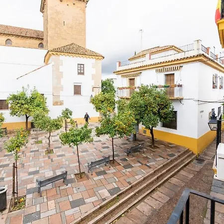 Apartamento Viana